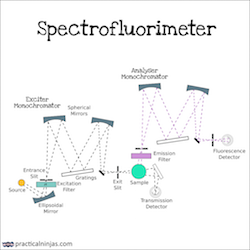 Spectrofluorimeter