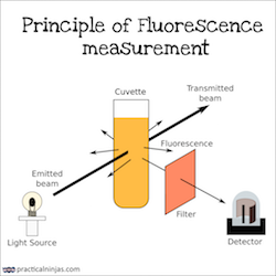 Basic principle of fluorescence measurement