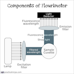 Components of Fluorimeter